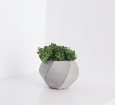 Plant With Clay Stand